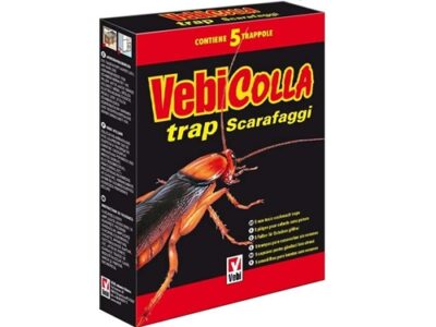 COLLA TRASP.SCARAFAGGI 5 pz.