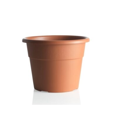 VASO EDERA 25 Bama